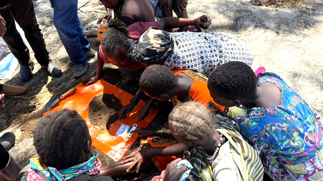 FAO in Uganda tweet media