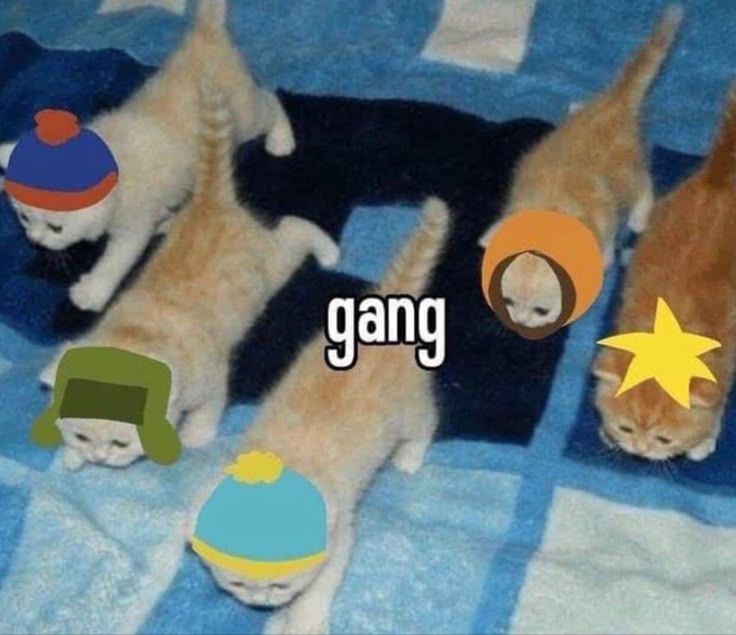 꽃가람 tweet media