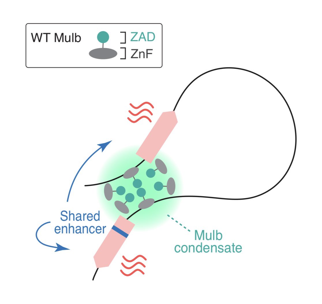 Takashi Fukaya tweet media