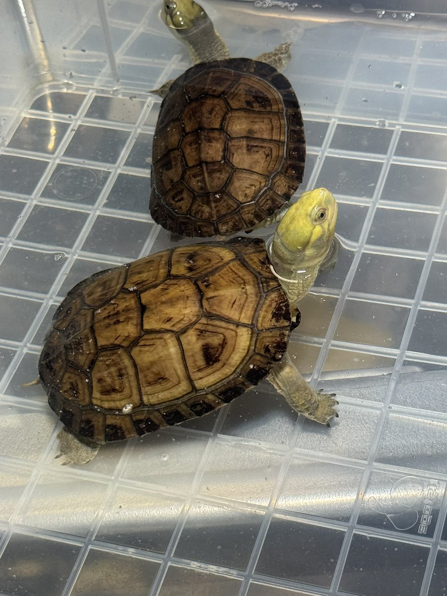 ANバッシー🌏🌏🌏 tweet media