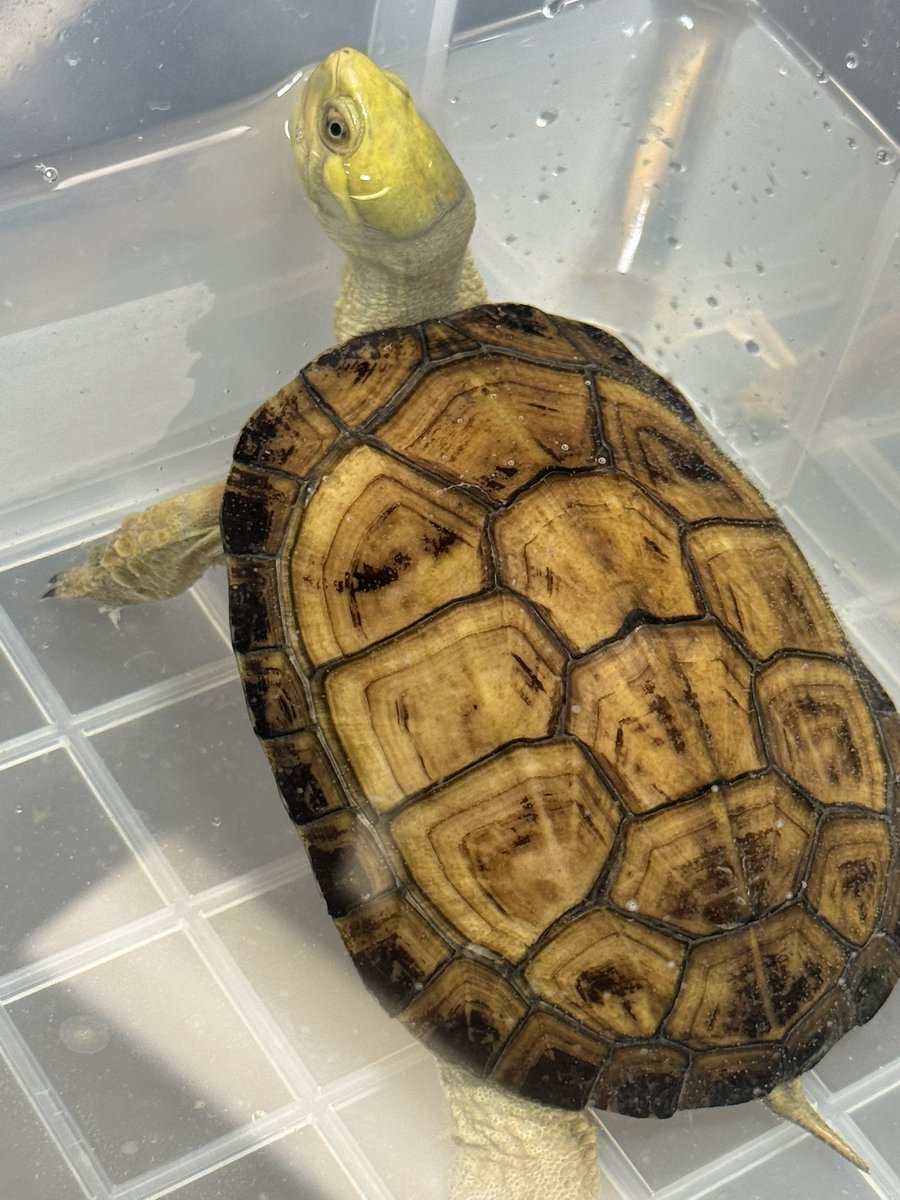 ANバッシー🌏🌏🌏 tweet media