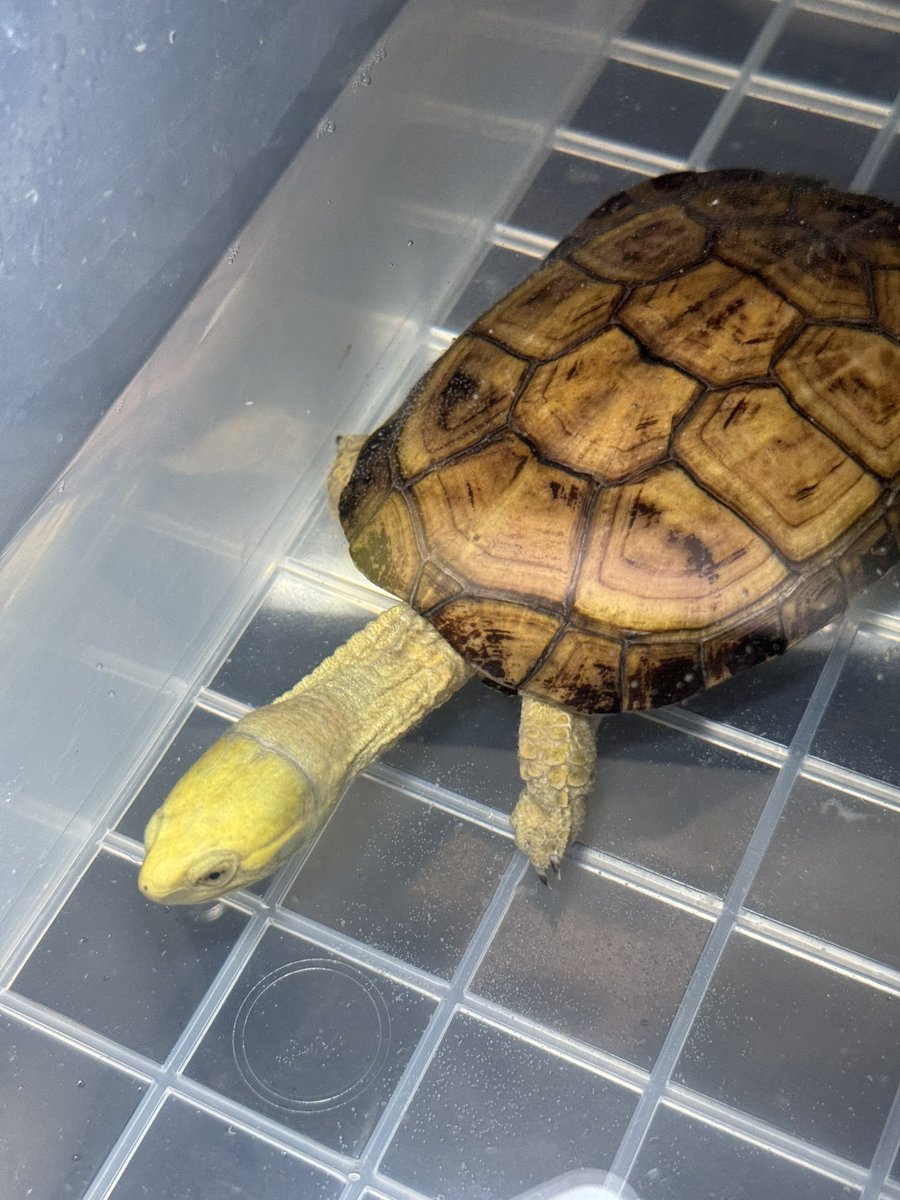 ANバッシー🌏🌏🌏 tweet media