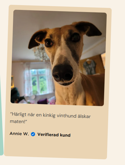 Gös tweet media