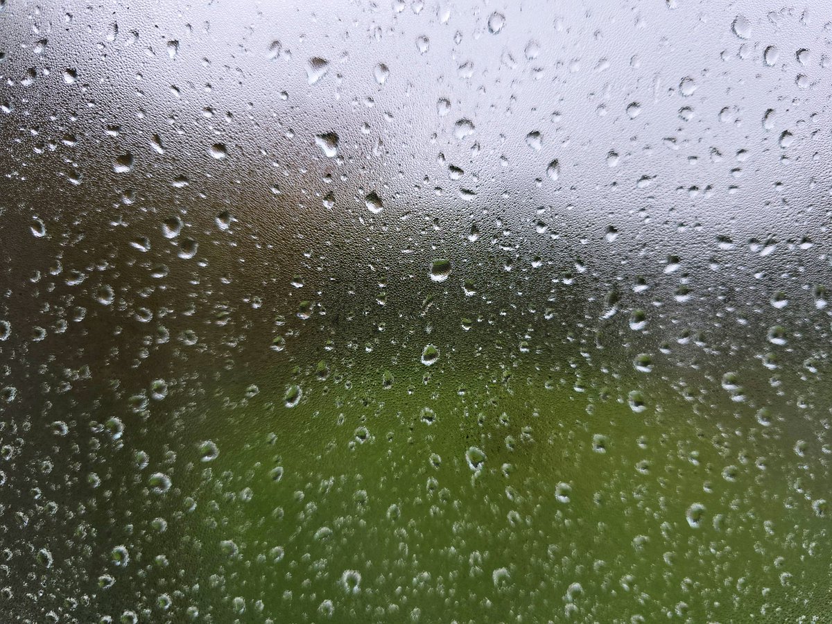 Liam Ball tweet media