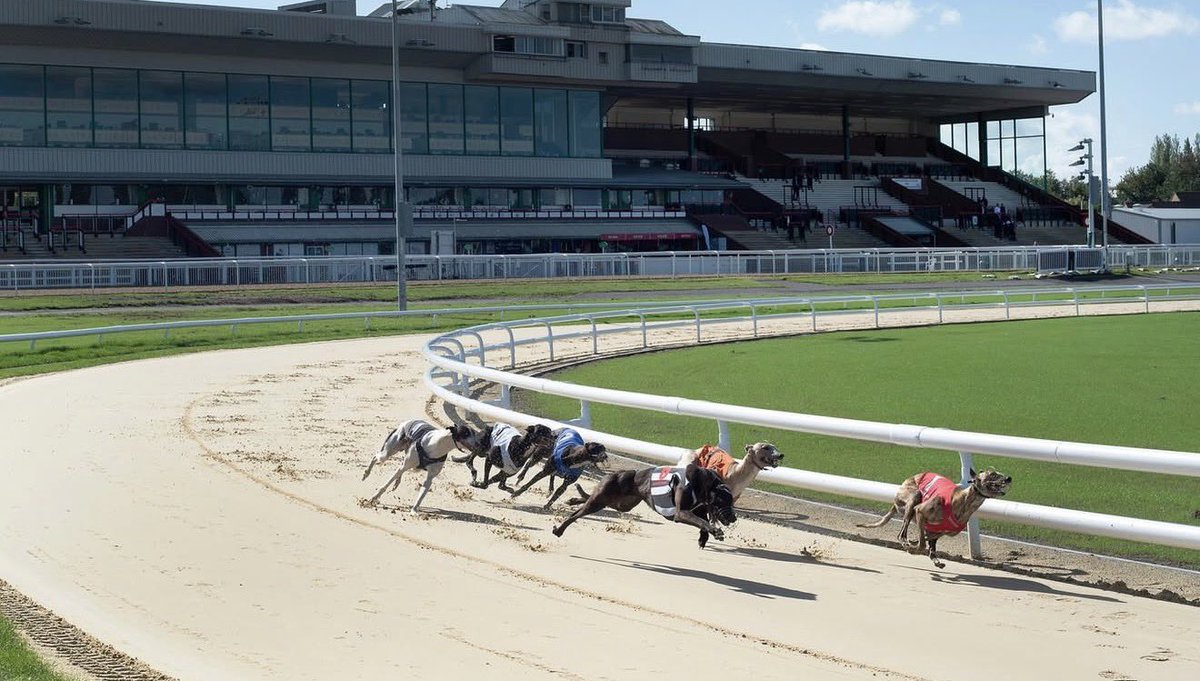 dickieevans1's tweet photo. Greyhounds 

4.22 Dunstall Park

Trap 2 Ballintemple Gen 7/4
⭐️⭐️⭐️⭐️⭐️⭐️⭐️ 7 Star Nap

This young bitch should show her full potential today. With trap 1 a slow starter we should get a nice quick and clear run to the bend. She has incredible all round pace and stays well should win today.