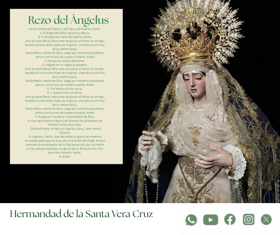 VeraCruzMarch's tweet photo. Rezo del Ángelus 

⏰ 12:00 horas 

🙏🏻 Oremos a la Santísima Virgen María, Madre del Señor y de la Iglesia. https://t.co/0WTacZc1Jk
