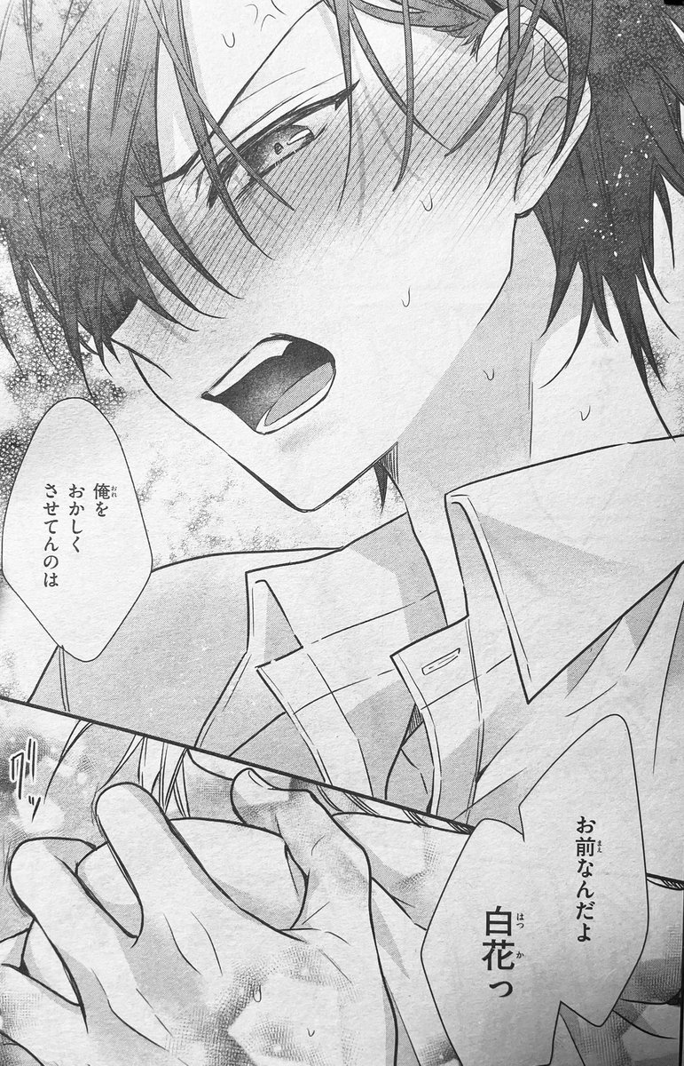 今発売中のSho-Comi5号に『Cake×Bombケーキバイボム』33話が表紙巻頭で載ってます！燈我が色んな意味で大暴走かましてる回です💨