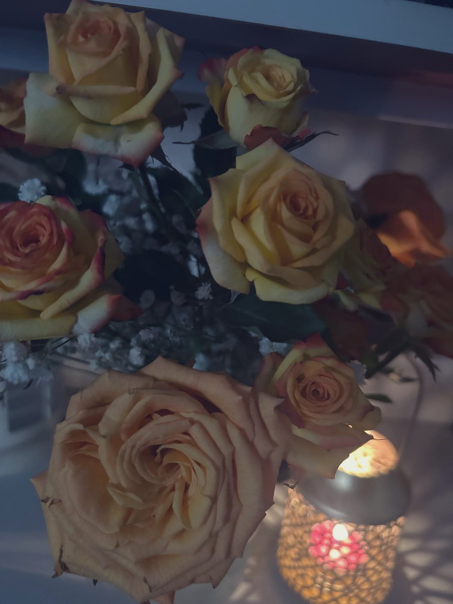 النهوض شكل آخر من أشكال الشجاعة.🧡