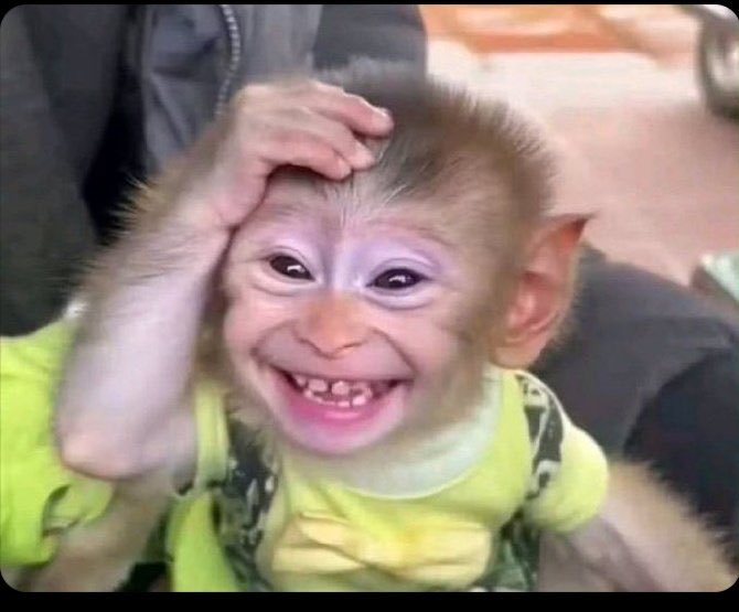 Memeative tweet media