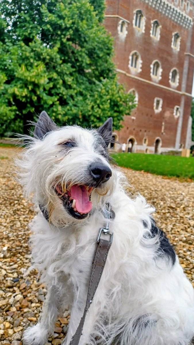 Zoe Enser 🐉 tweet media