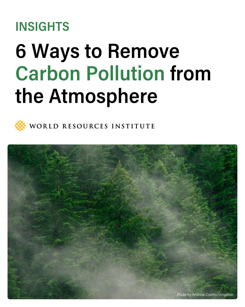 🌬️ Cutting emissions matters, but it is not enough on its own. Reaching climate goals also means addressing the carbon already in the air.

<a href="/WRIClimate/">WRI Climate</a> looks at 6 ways carbon pollution can be removed from the atmosphere: bit.ly/3O3Remf

#CarbonRemoval #NetZero