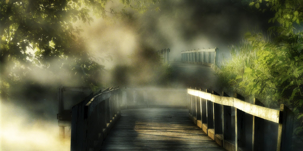 Lisa M Christie, PhD tweet media