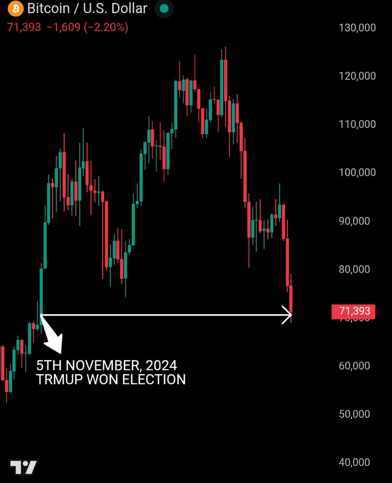 Bull Theory tweet media