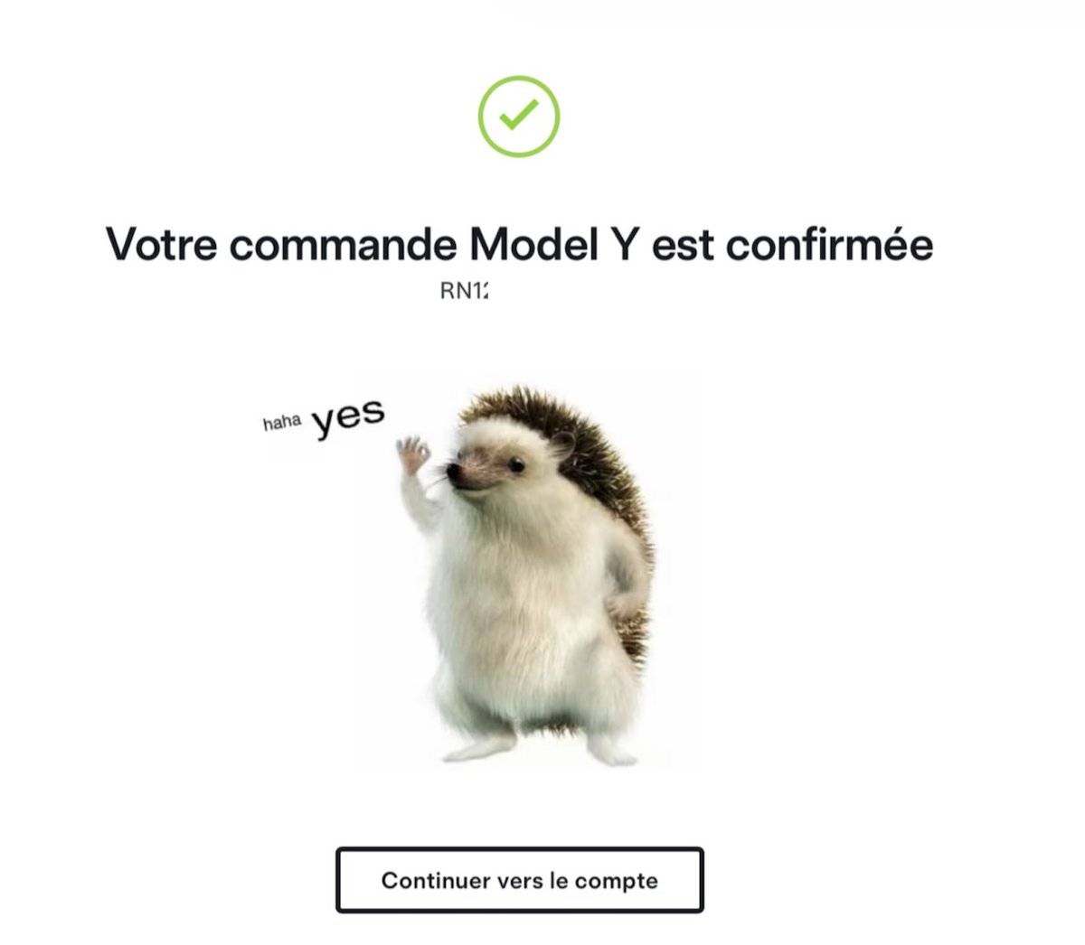 Sergio’s ✨ tweet media