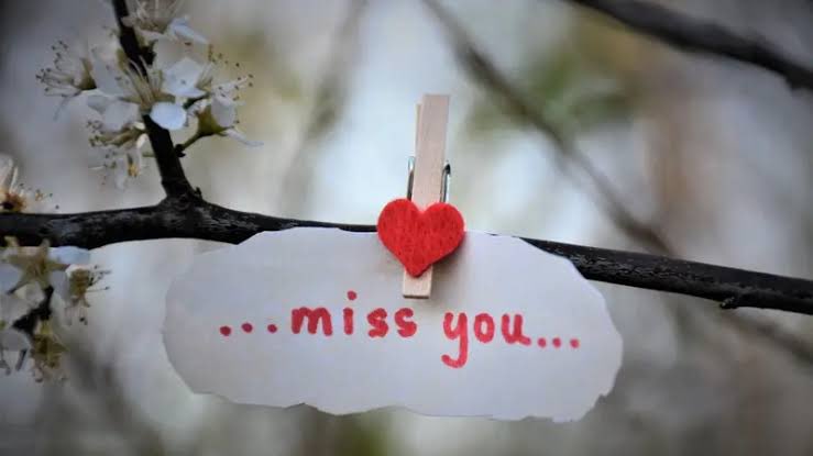 seonghyeonseonghyeon tweet media