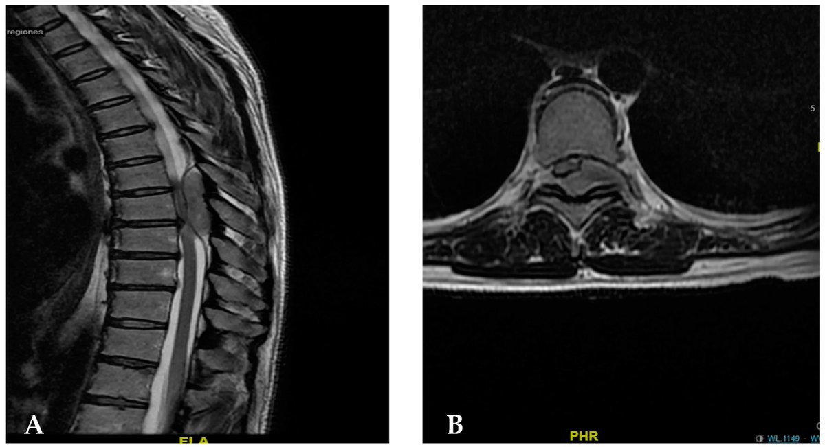 Surgeries MDPI tweet media