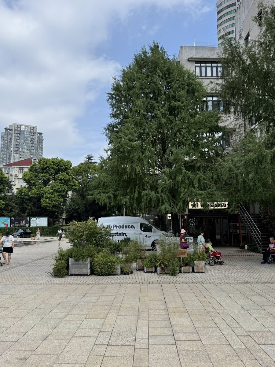 sartre786's tweet photo. 저의 상하이도 공유합니다 🫶
저도 살고 싶을 정도로 상하이가 정말 좋았어요 ㅜㅜ
또 가구 싶다 증말 ,, 3박 4일이 너무 아쉬웟던 🥹 https://t.co/dqMOq6zqIh