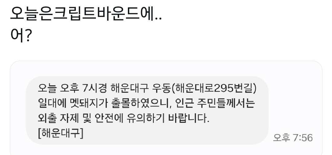 똥투윗아카이부 tweet media