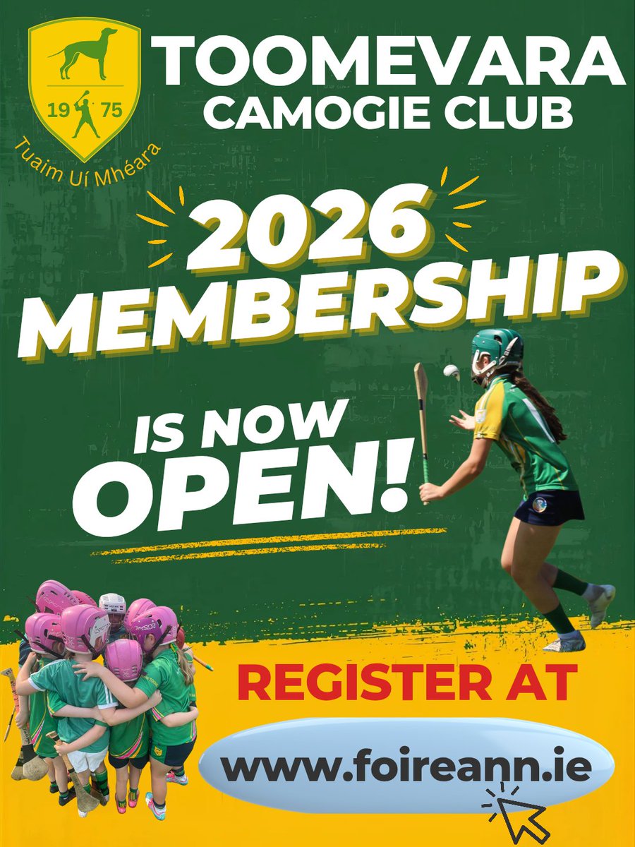 Toomevara Camogie tweet media