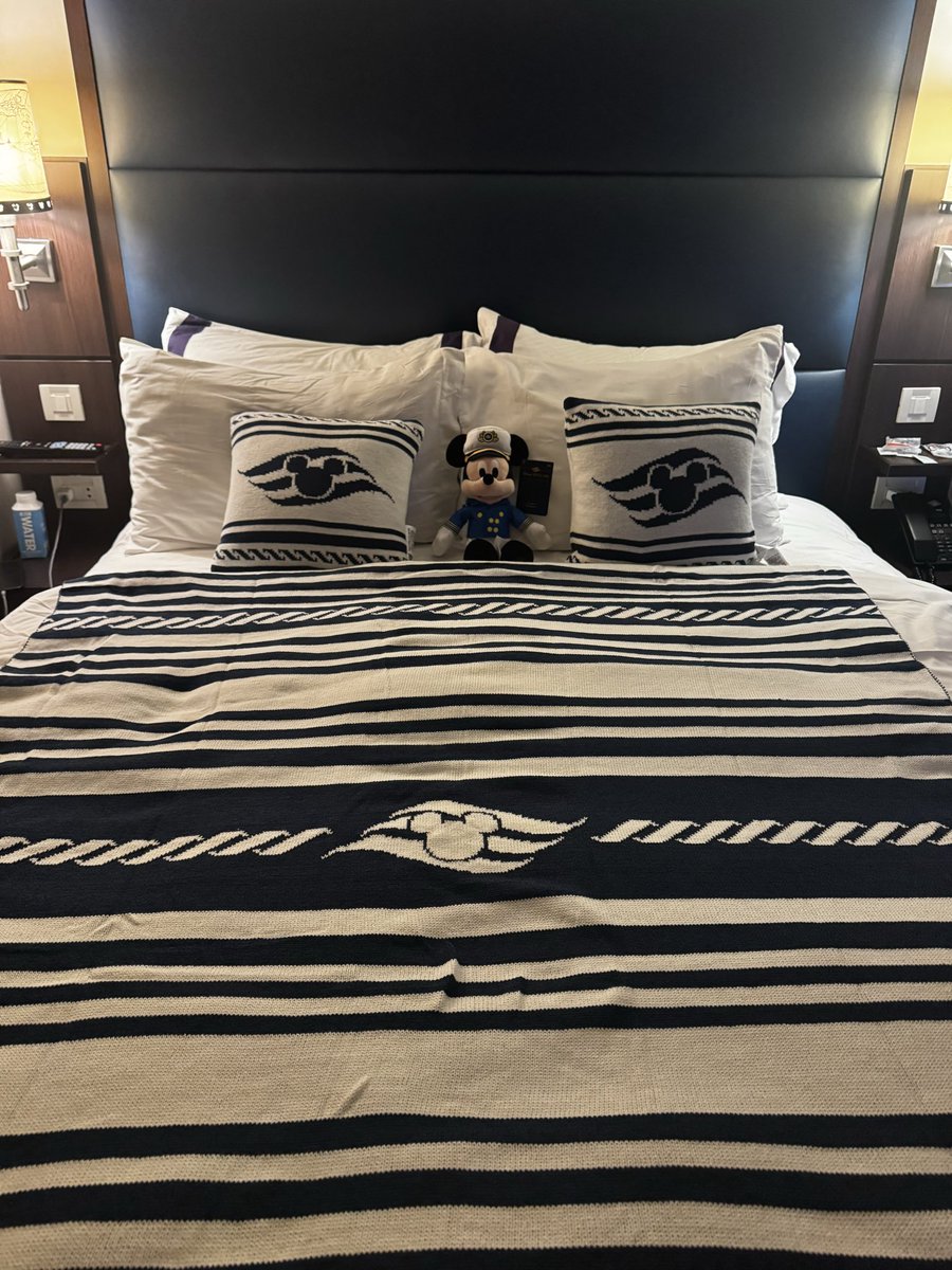 本日、クッション一個買いたして、
こうなった🤣笑

ブランケットかなり大判でめっちゃよい👍

#ディズニークルーズ