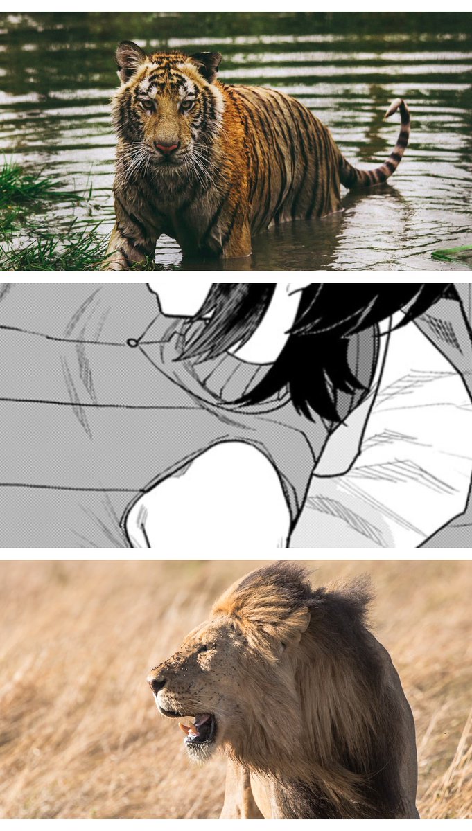 人間性別問わず受けが好き
(1/6) SFW