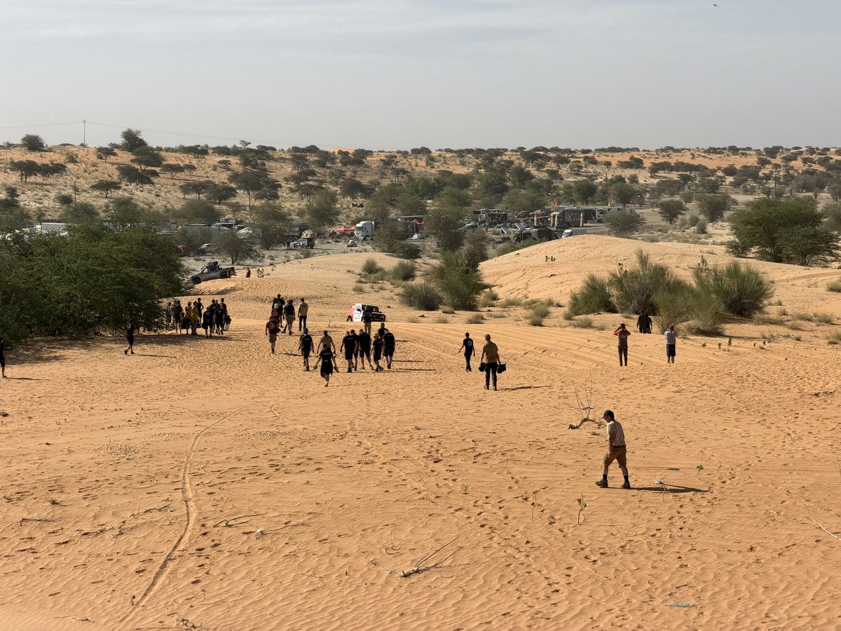 シンヨ / Shinyo tweet media