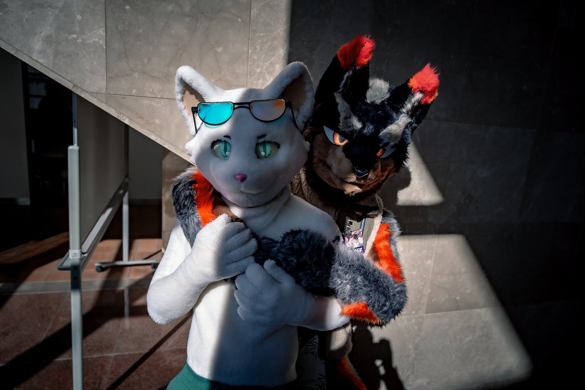 キラキラな2人組🐕✨ #JMoF2026 tag: @Yuki_Nekooni