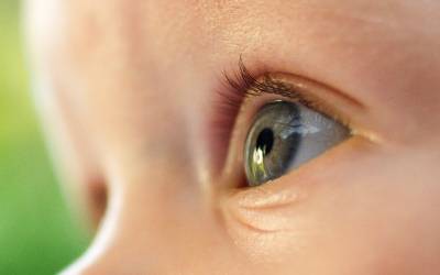 Haag-Streit UK tweet media