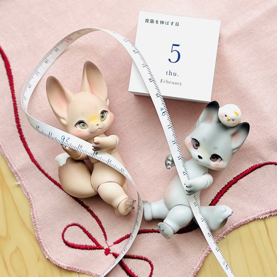 📏 ꔛ✨
#kumukuku