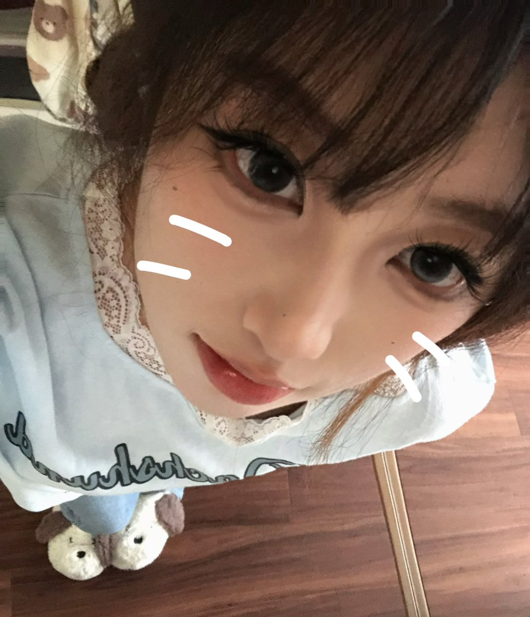 野良猫 tweet media