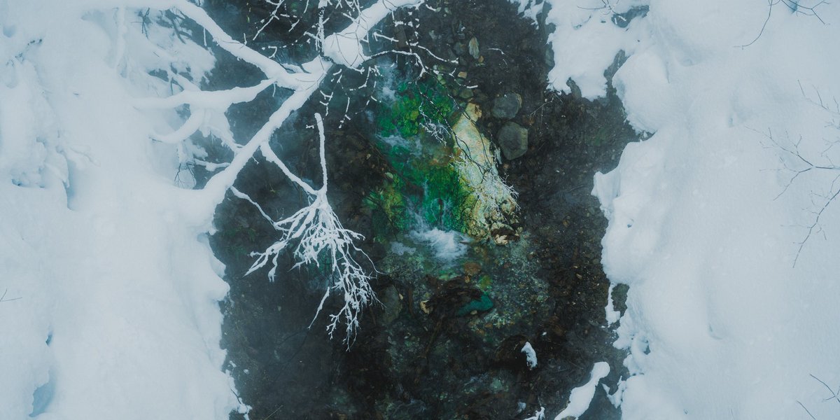 たくぼん (@kuroneko1364) / Posts / X