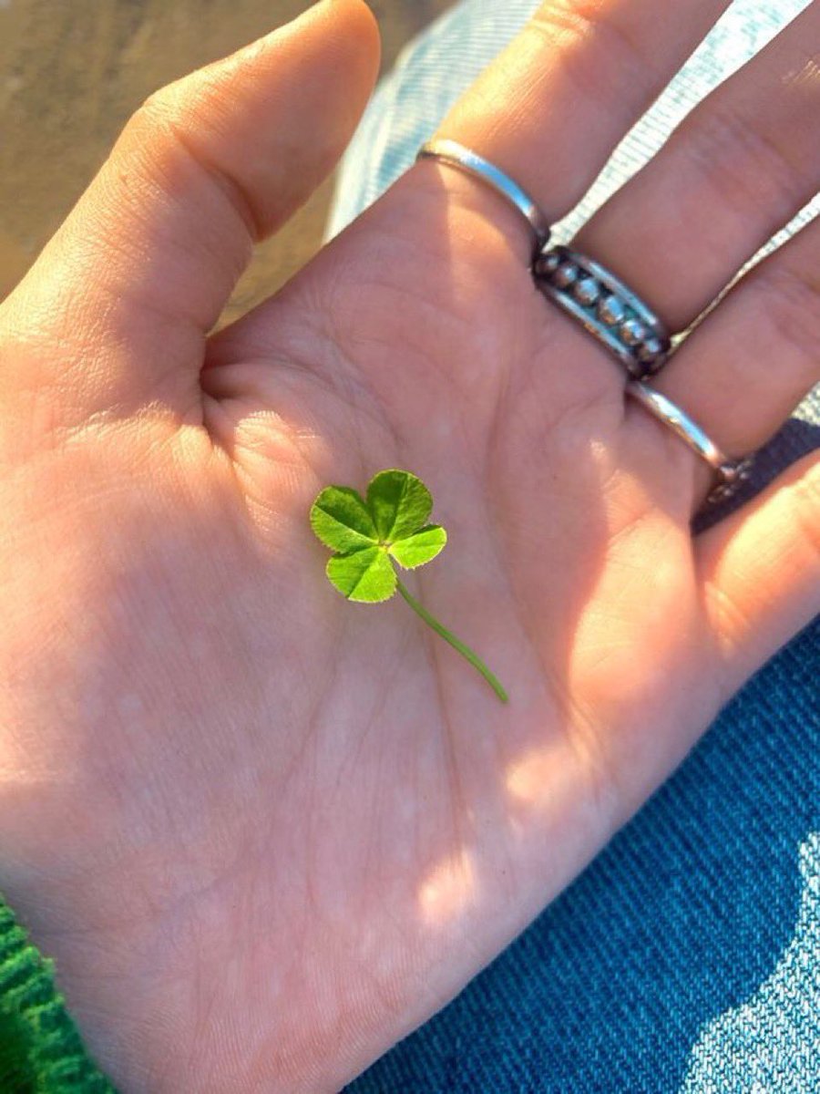 giftlovej's tweet image. You are lucky 🍀