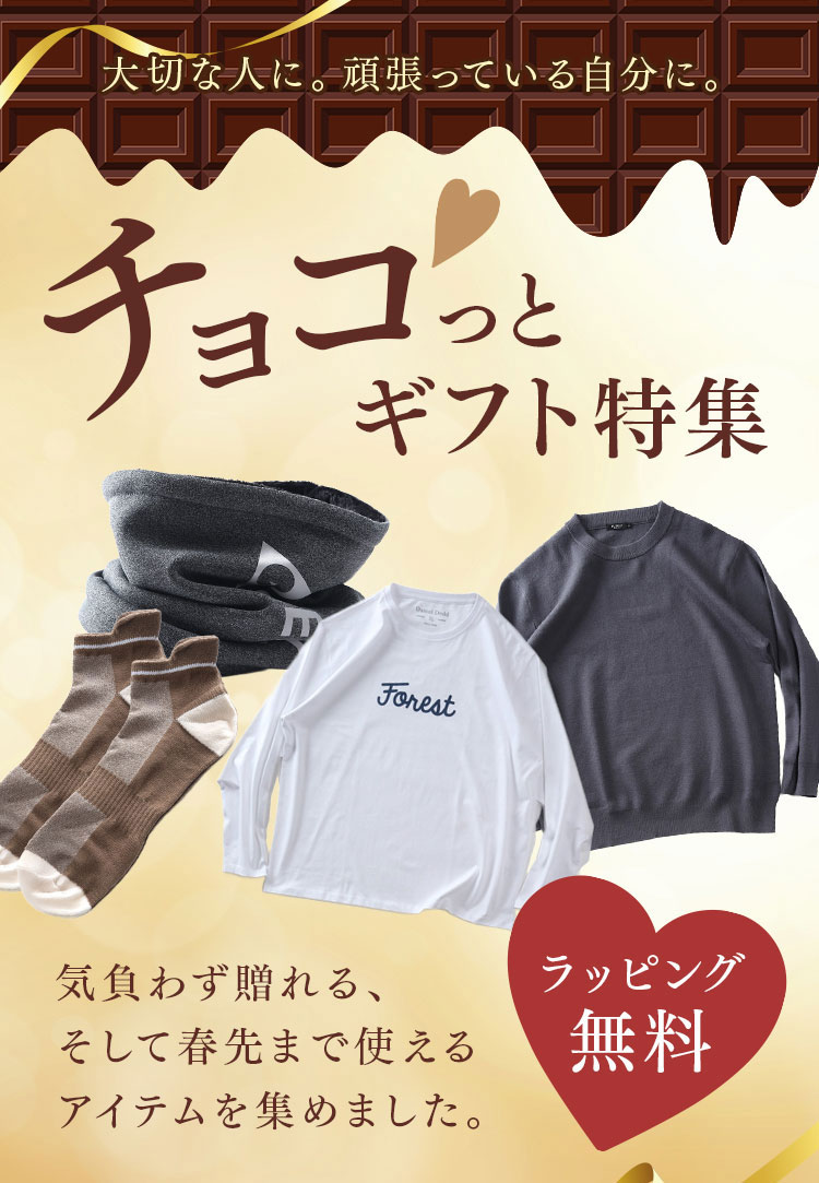 希少‼️お洒落な特大サイズのマダムＴ 5.8oz T/CドライCLIMB MOUNTAIN Tee | ジムマスター（gym master）公式通販