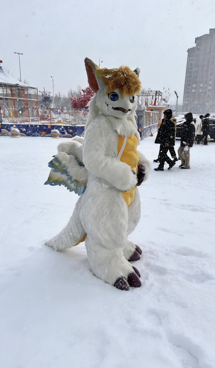 炎神龙 tweet media