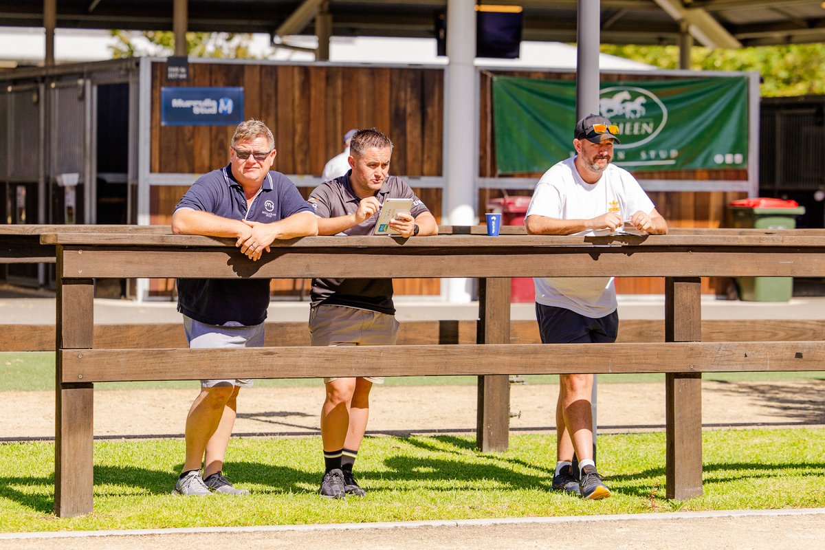 Mullaglass Stud tweet media