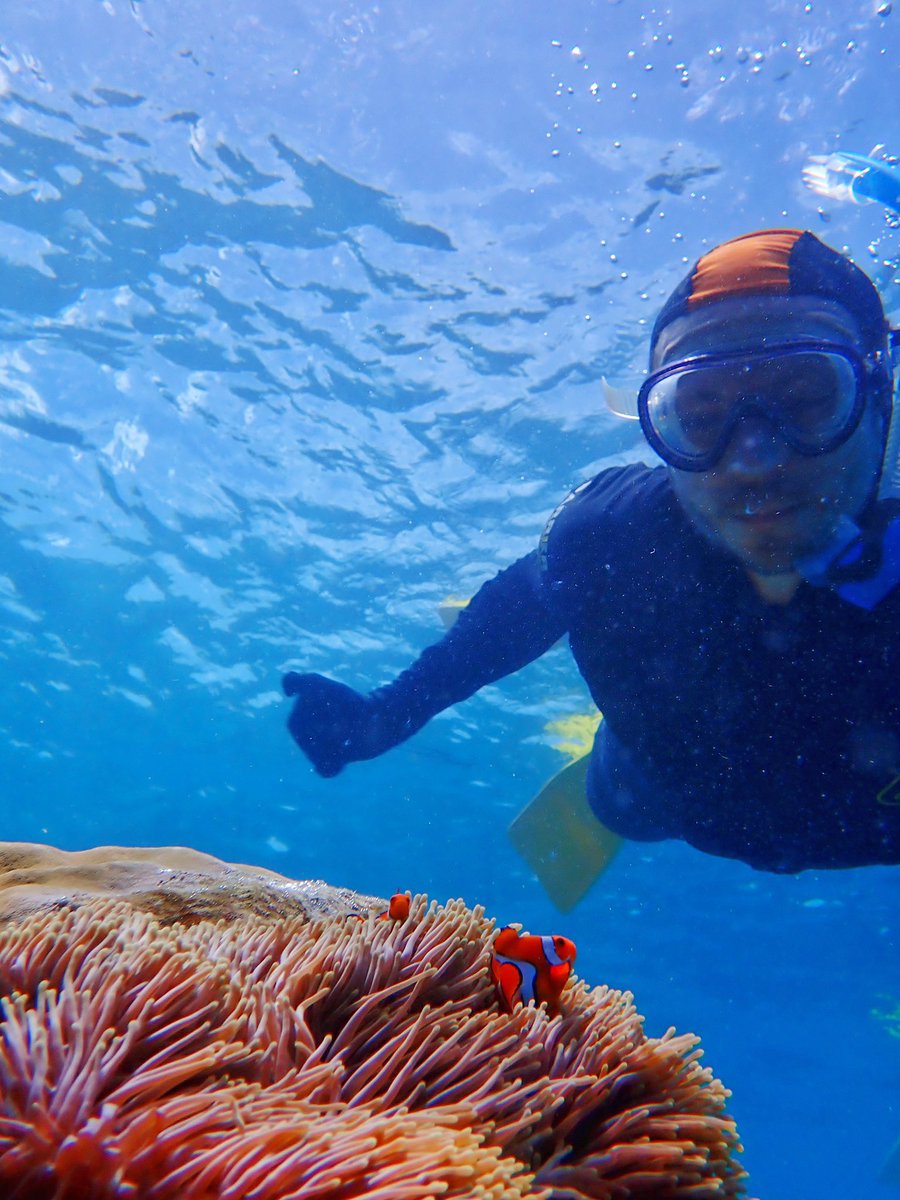 Alex Jordan 🔜 GDC tweet media