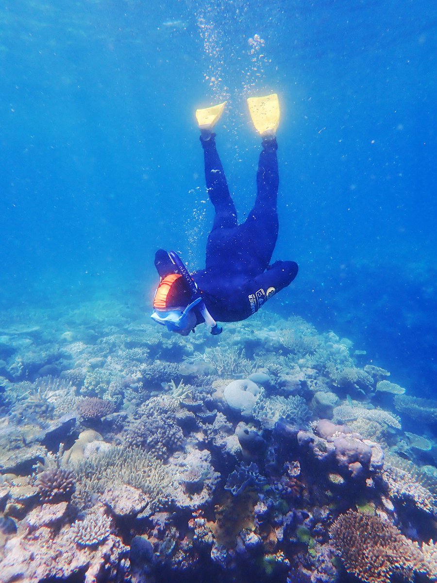 Alex Jordan 🔜 GDC tweet media