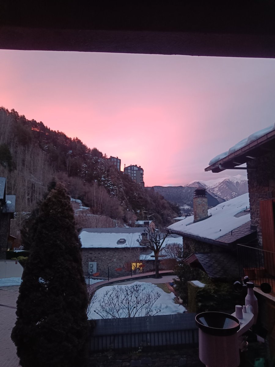 Carla krlita tweet media