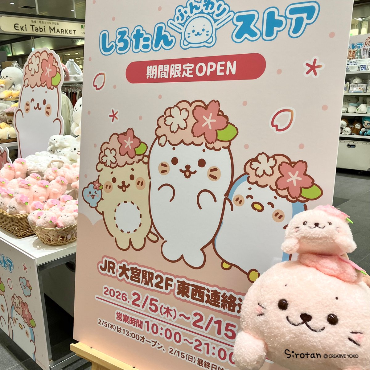 🌸 JR大宮駅2F 東西連絡通路にしろたんふんわりストアOPENしました！🌸

期間: 2026/2/5(木)～2/15(日)
時間:10:00-21:00(初日は13:00-、最終日は-17:00)

一足先に登場のしろたん桜シリーズをはじめ、
店舗限定コンビニシリーズなど人気のアイテムがいっぱい♪

ぜひ遊びに来てね(=・ω・=)🌸