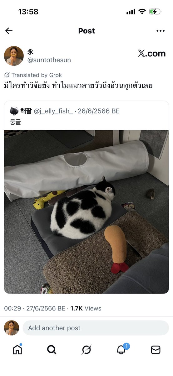 永 tweet media