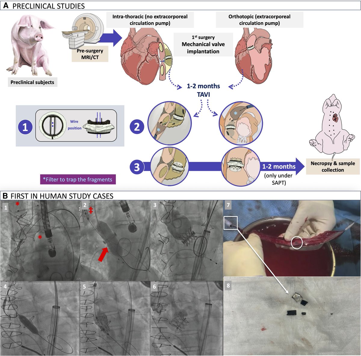 European Society of Cardiology Journals tweet media