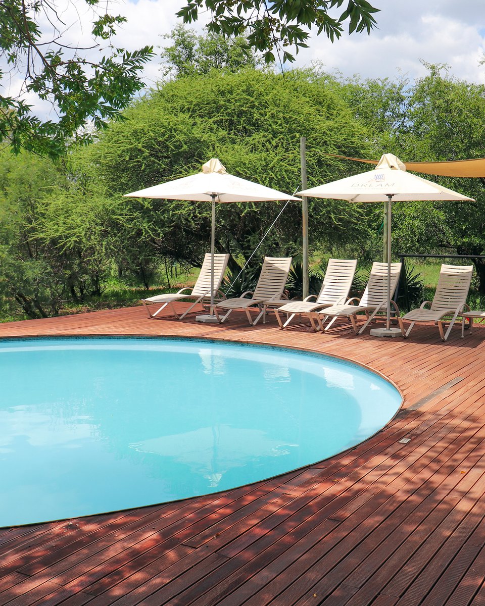 finfootlodge's tweet image. When was your last bush getaway? Sounds like you’re due for another one! 😉

Tell us when your last bush getaway was and start counting down the days till your next one. 👇

#FinfootLake #FridayFun #MiniHoliday
