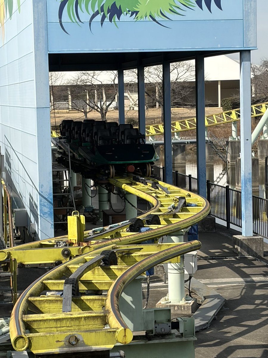 ✨れじなページ✨ アラジンセットリスト レジーナII…8回 カワセミ…7回 ドロップツイスト