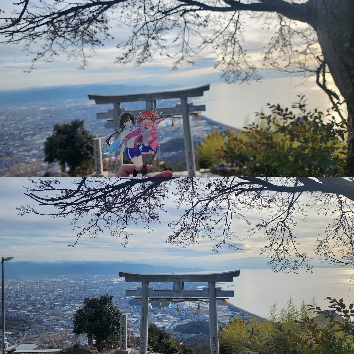 SuzukumA tweet media