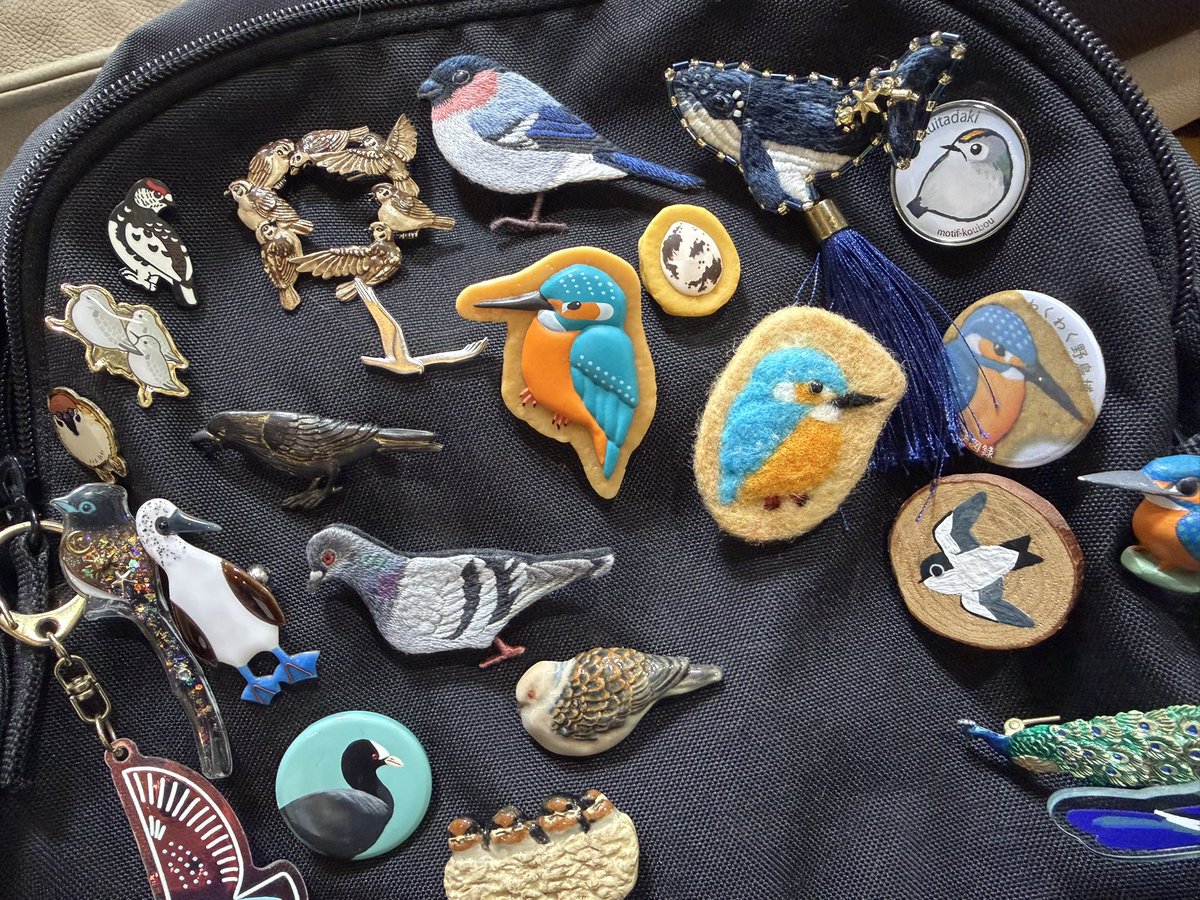 みて....！！！！！
クッキーのフェルトブローチ！！

なんとフェルト作家のミカンさん <a href="/chom_bou/">砂糖ミカン@ことり万博＆トリバサダー</a> が作ってきてくださいました！てんさいすぎ！！立体ふわふわです！

大事なブローチリュックに仲間いり☺️✨