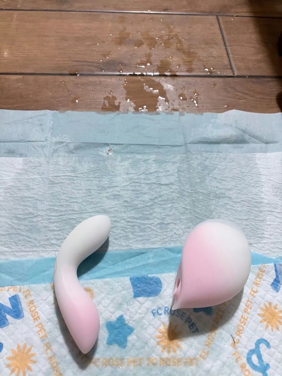 猫猫也会饿 tweet media