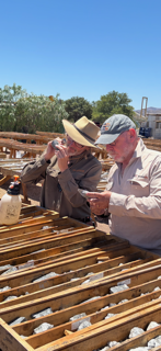 Great Southern Copper tweet media