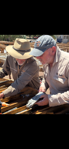 Great Southern Copper tweet media