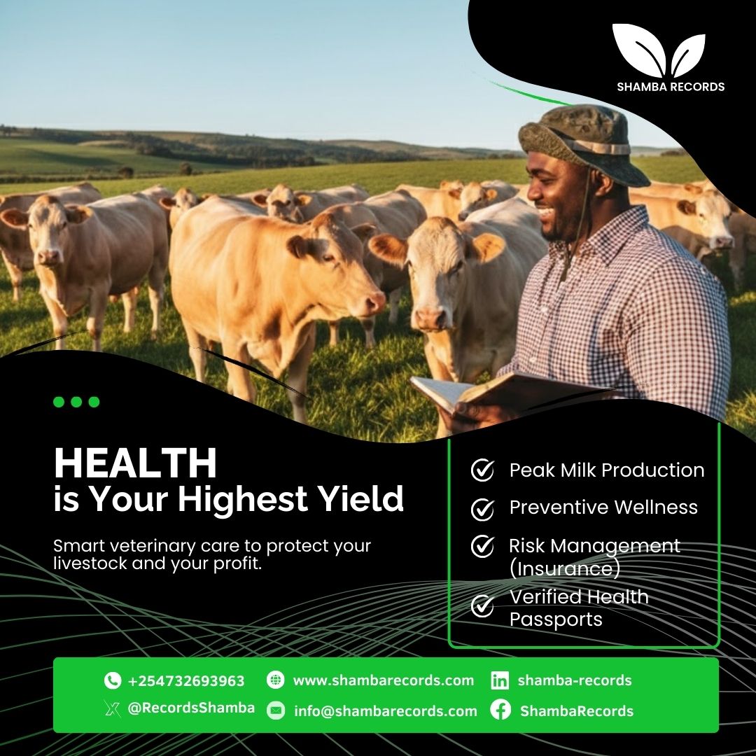 Shamba Records tweet media