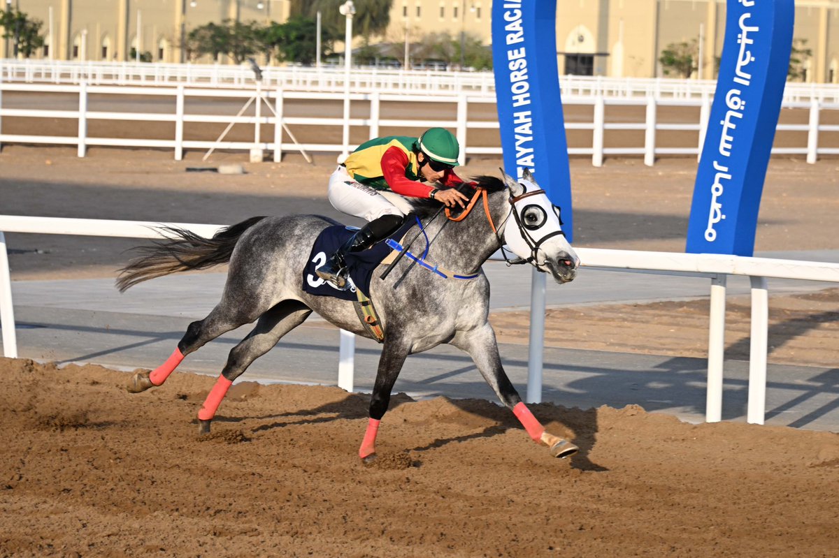 الاتحاد العماني للفروسية والسباق (@oefom) / Posts / X